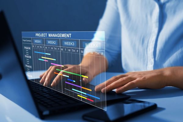 Gestión de proyectos IT y PMO